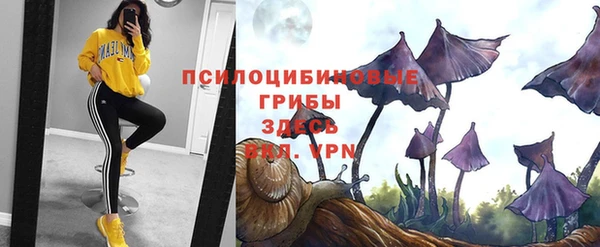 таблы Белокуриха