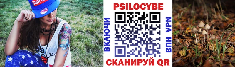Псилоцибиновые грибы GOLDEN TEACHER  купить закладку  Чернушка 